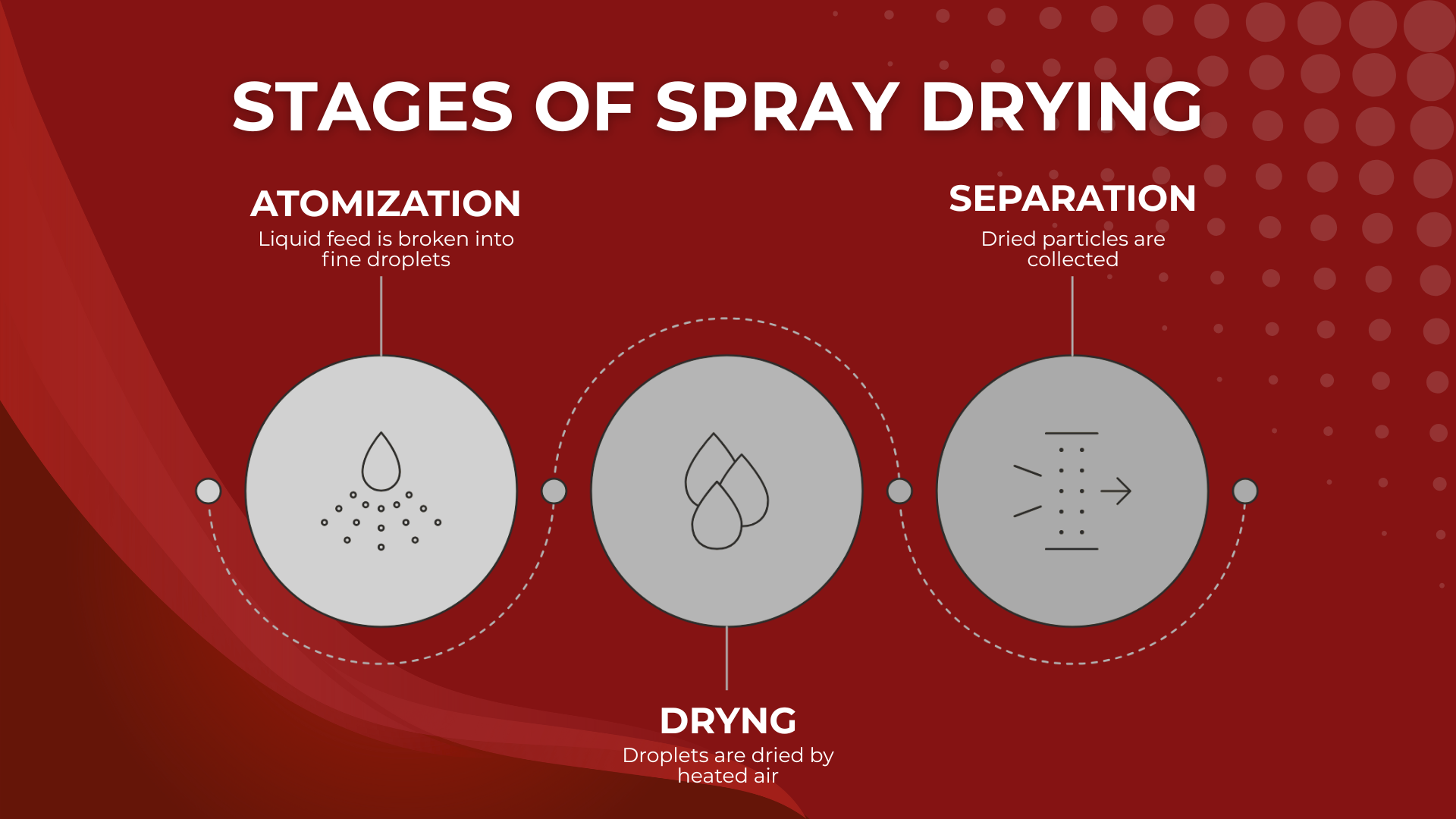 Infographic illustrating the three stages of spray drying: Atomization (liquid feed broken into fine droplets), Drying (droplets dried by heated air), and Separation (dried particles collected).