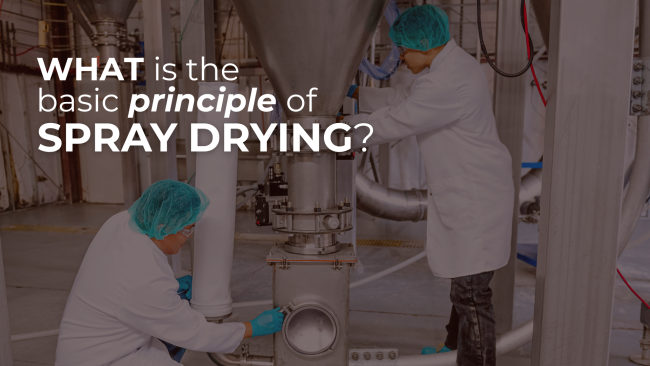 FEATURE IMAGES (2) Two scientists in lab coats and hairnets working on large industrial spray drying equipment in a facility, with overlaid text asking: 'WHAT is the basic principle of SPRAY DRYING?'