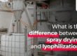 What is the difference between spray drying and lyophilization (1)