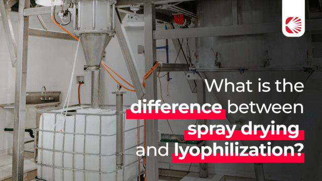 What is the difference between spray drying and lyophilization (1)