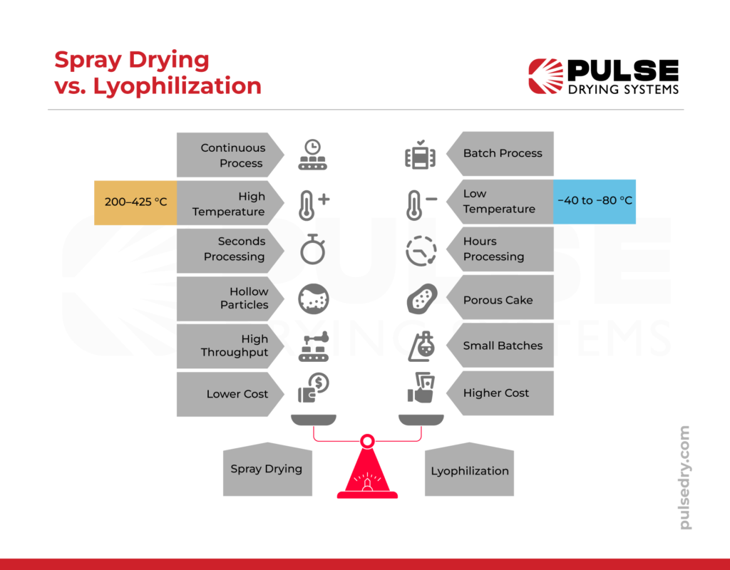 What is the difference between spray drying and lyophilization?